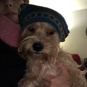 Meet your Posher, Astrid